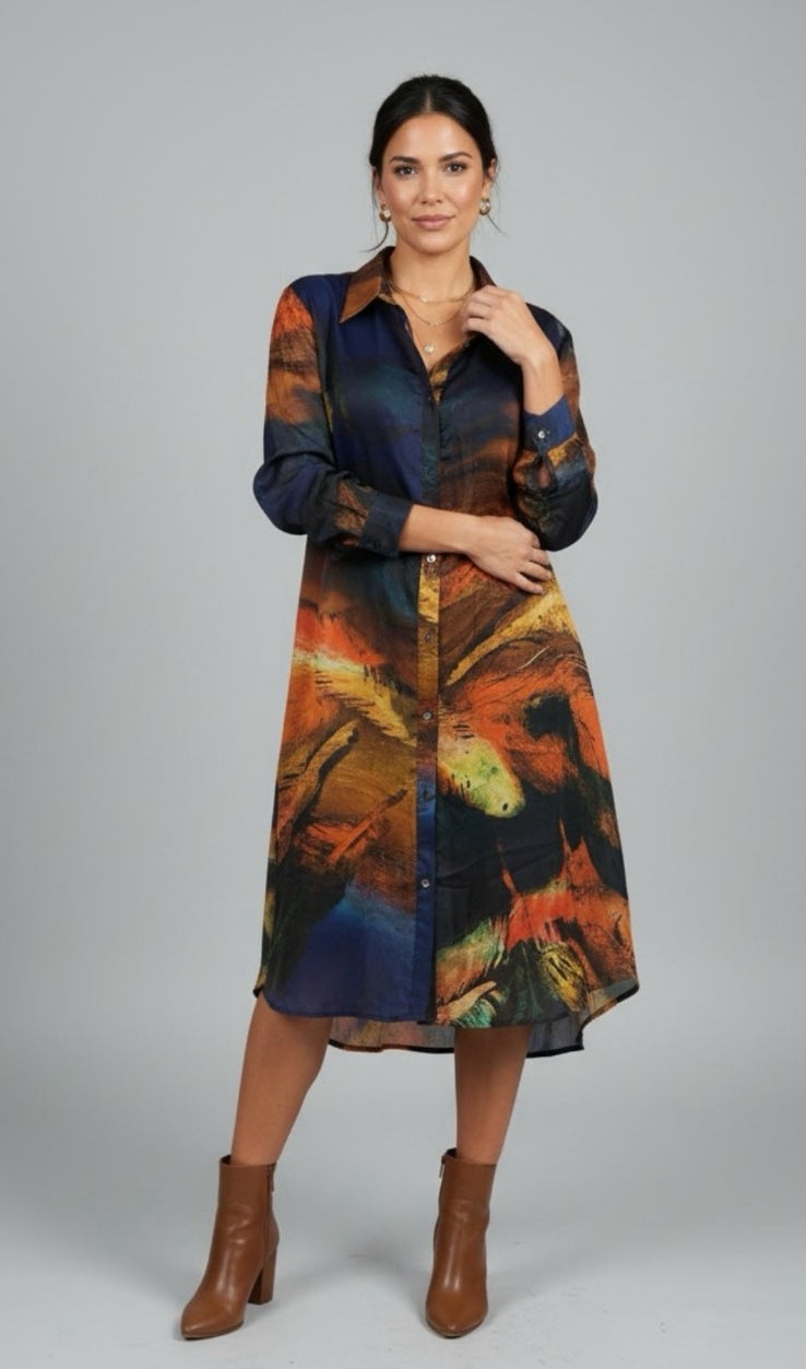 Artistic Print Midi Shirt Dress - Rust101d
